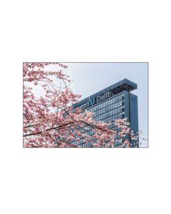 Foto magneet TU Delft Bloesem - NEW