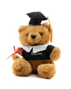 Teddybeer professor TU Delft